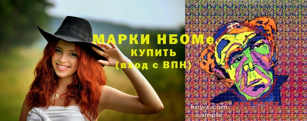 бошки Алексин