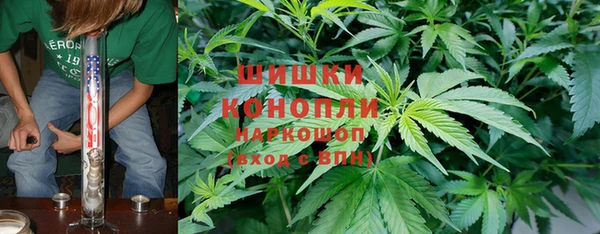 дмт Рославль