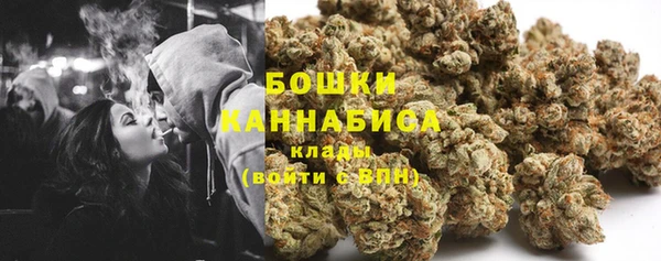 бошки Алексин