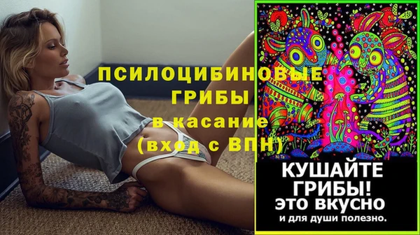 бошки Алексин