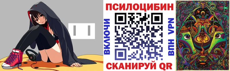 купить наркотики сайты  Богучар  Галлюциногенные грибы мицелий 