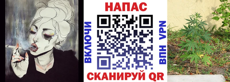 продажа наркотиков  Богучар  Бошки марихуана White Widow 